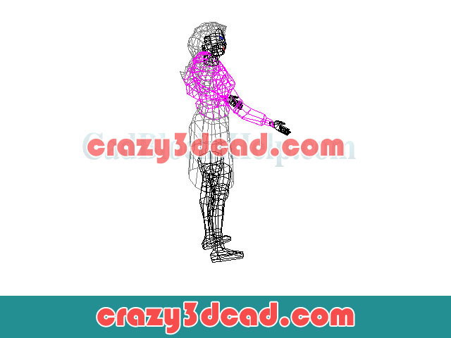 Character cad model